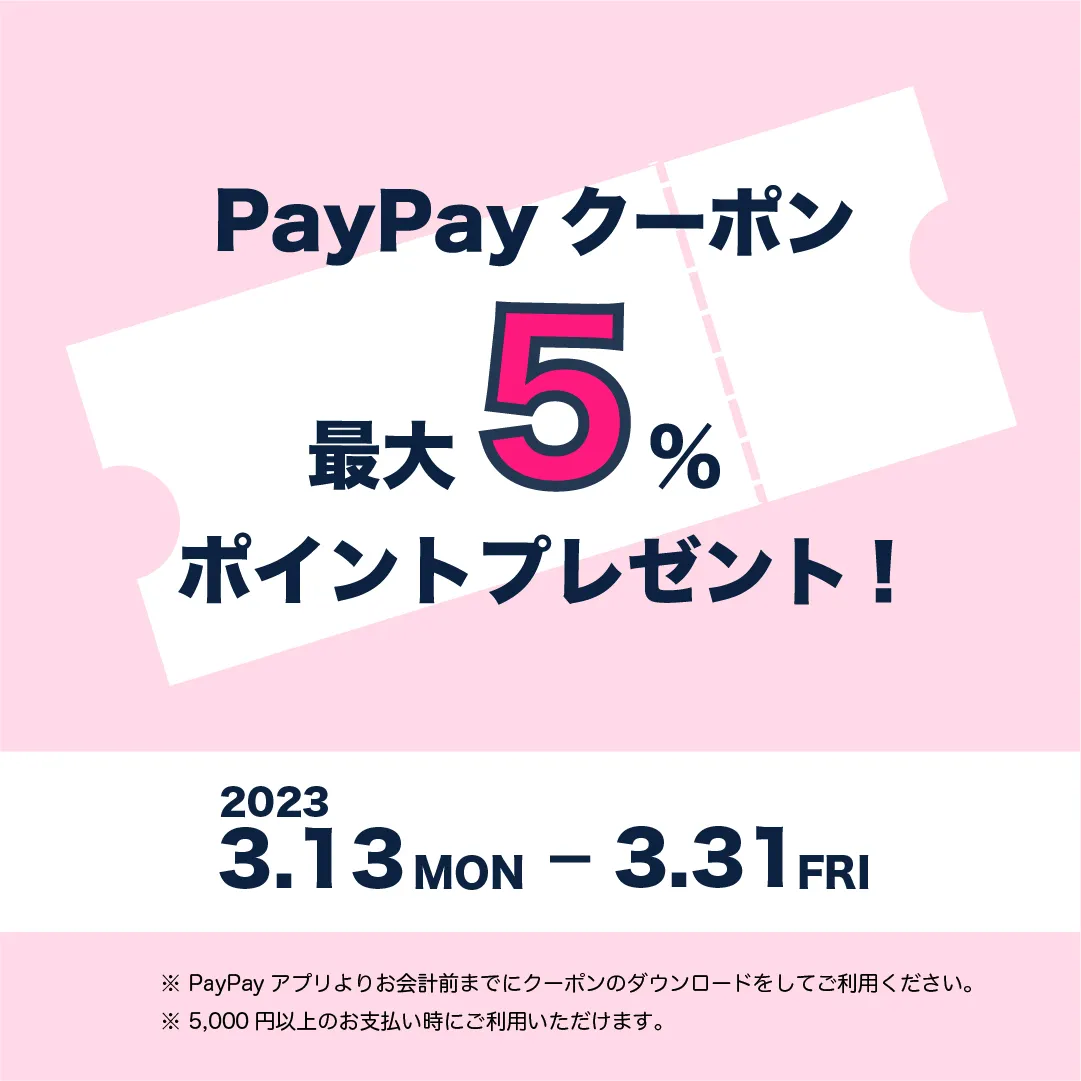 PayPayポイントプレゼントキャンペーン告知のInstagram投稿バナー